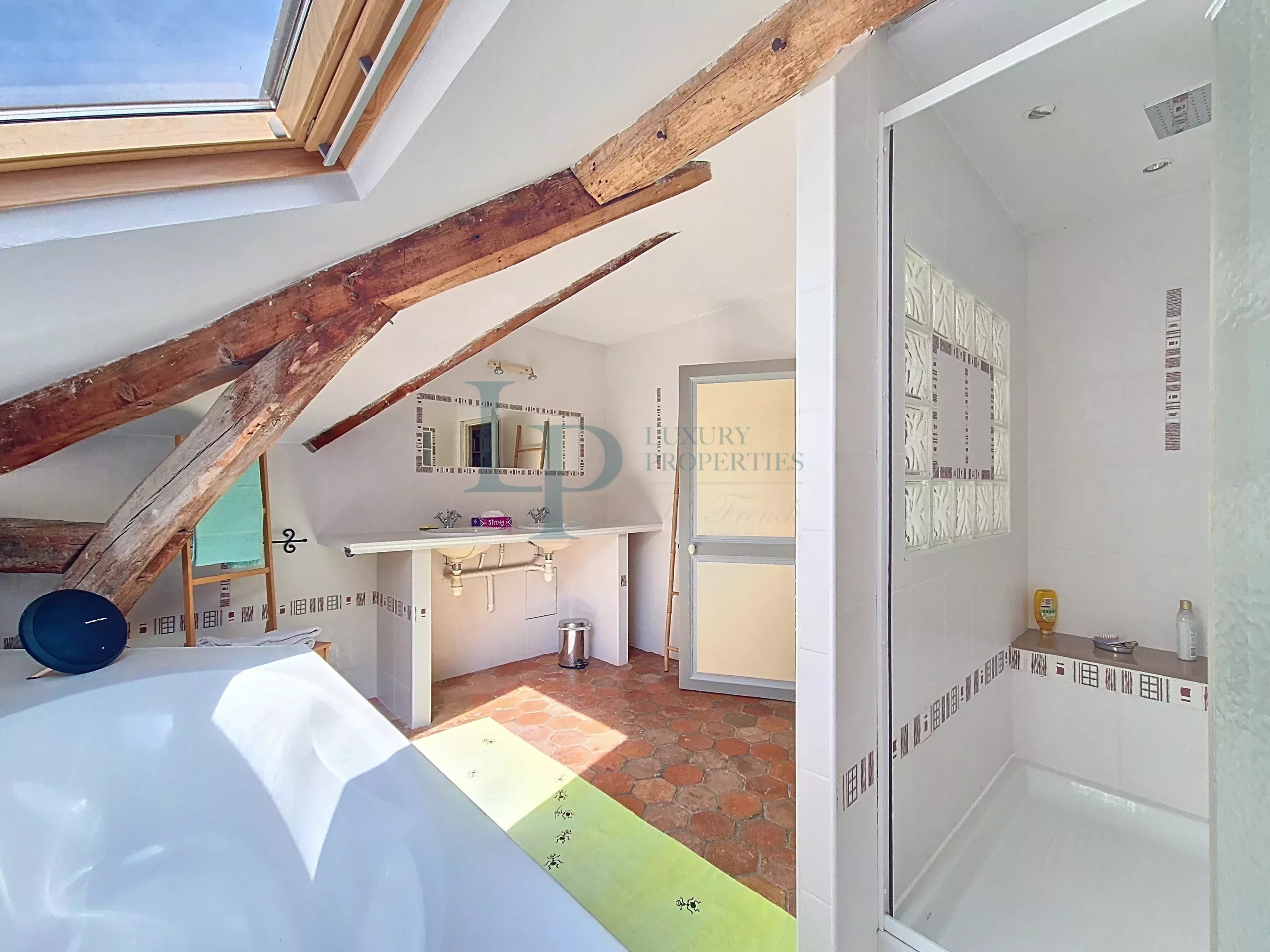 Property “Affolante” Historic Near Paris Gates