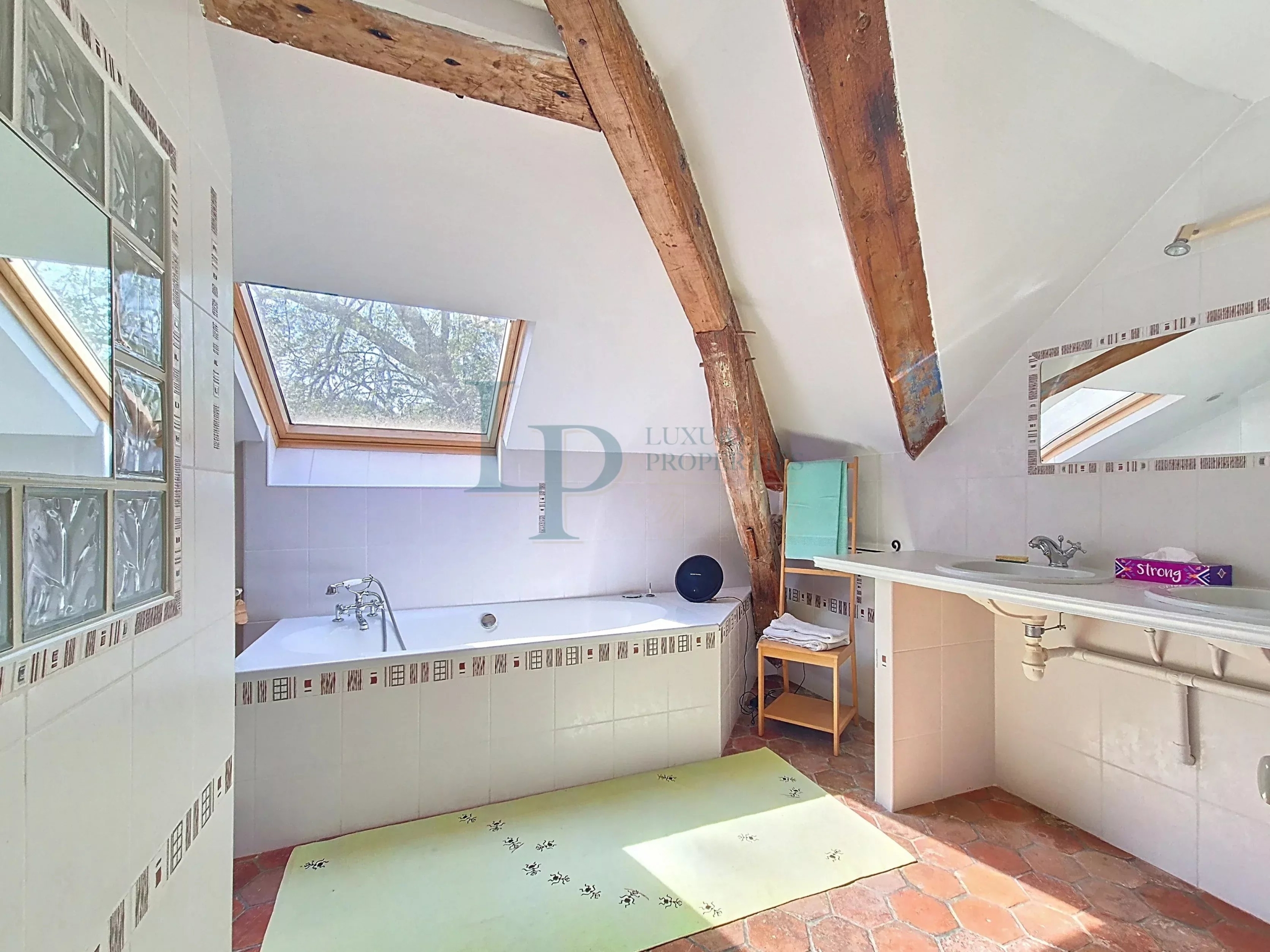 Property “Affolante” Historic Near Paris Gates