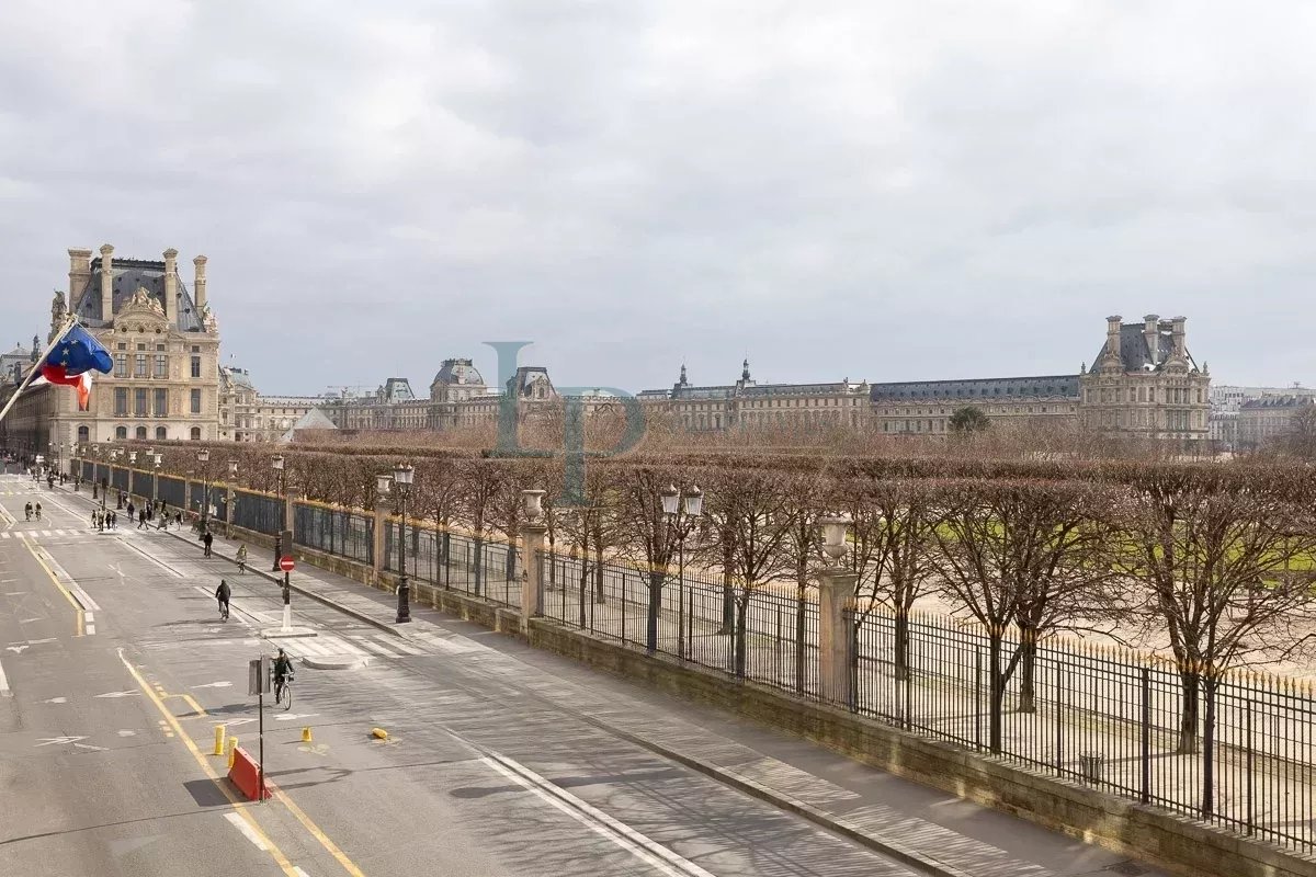 Luxurious Parisian Apartment with Modern Amenities